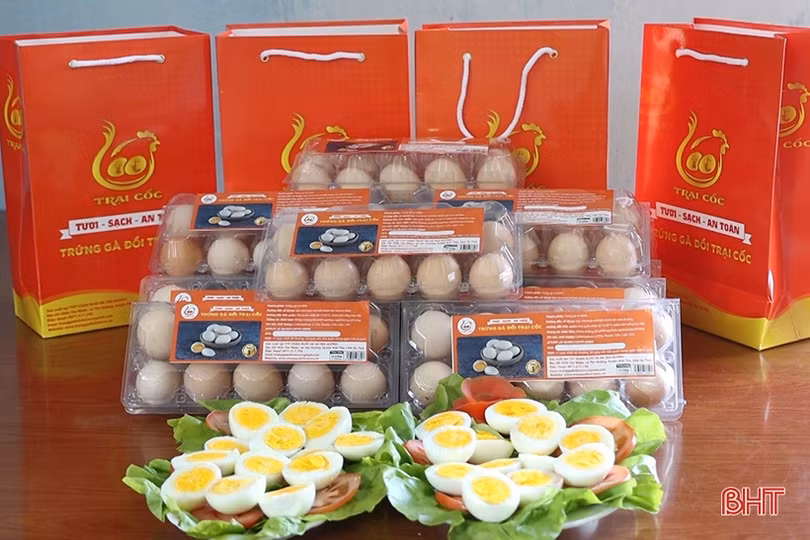 Nỗ lực phát triển thương hiệu trứng gà đồi Trại Cốc