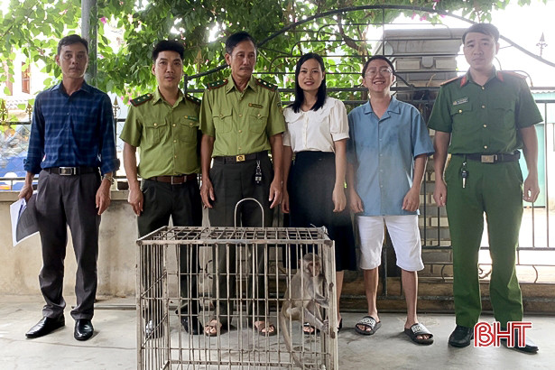 Bàn giao động vật nhóm IIB cho Vườn Quốc gia Vũ Quang