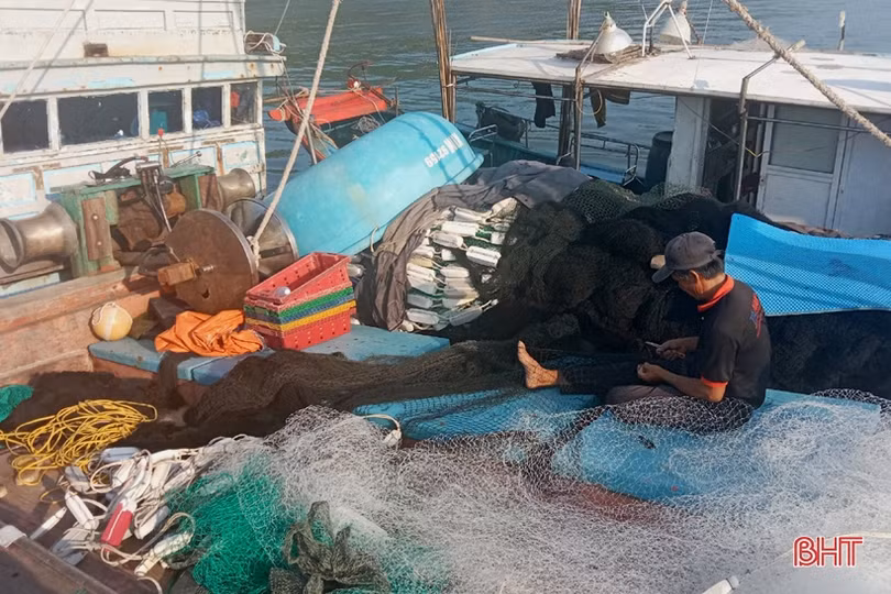 Giá dầu tăng cao, ngư dân Hà Tĩnh tiến thoái lưỡng nan