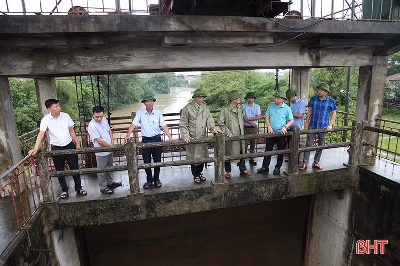 Tích cực tiêu úng, tranh thủ thu hoạch lúa hè thu khi thời tiết thuận lợi để đảm bảo năng suất