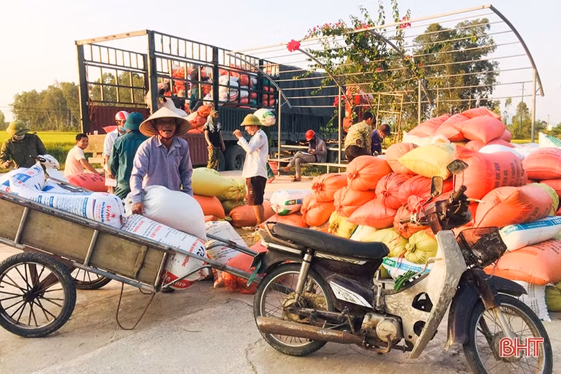 Can Lộc “thắng lớn” vụ hè thu