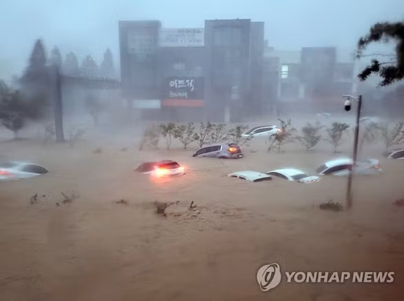 7 người thiệt mạng trong hầm chung cư ngập nước ở Hàn Quốc sau khi siêu bão Hinnamnor đổ bộ