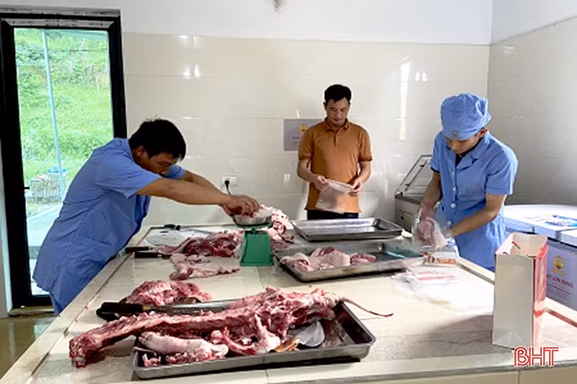 Nông nghiệp Hà Tĩnh trên hành trình tăng trưởng xanh