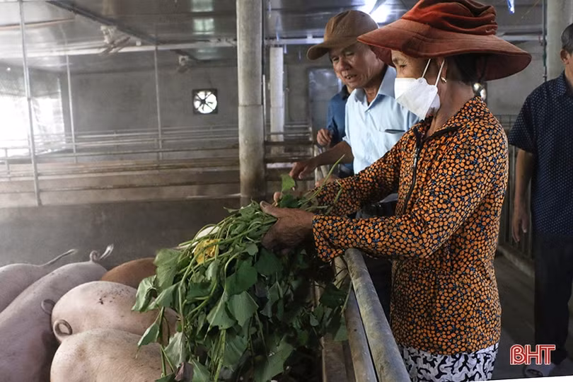 Tập đoàn Quế Lâm - Vì nền nông nghiệp tuần hoàn, phát triển