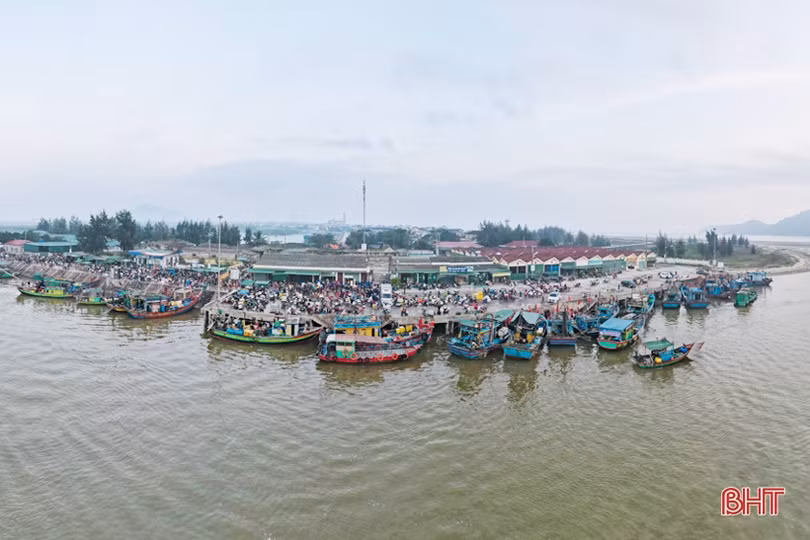 Sắc xuân trên quê biển Lộc Hà