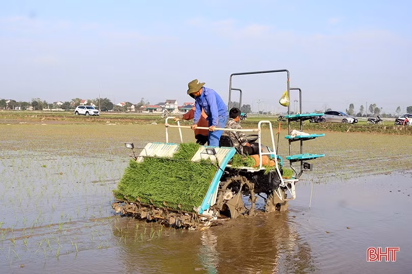“Hạt giống” nông nghiệp sạch nảy mầm trên đồng đất Can Lộc