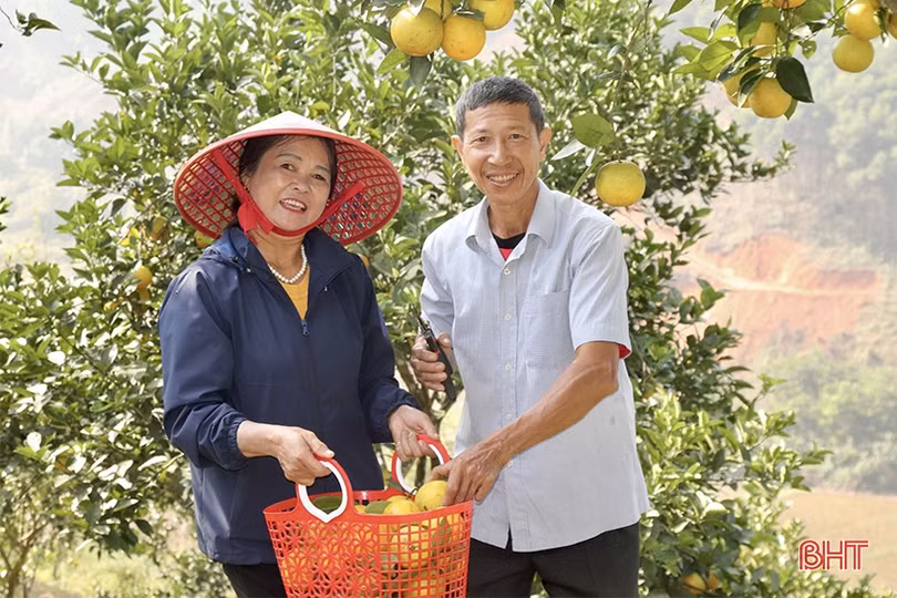 Dấu ấn 3 mũi đột phá của Vũ Quang