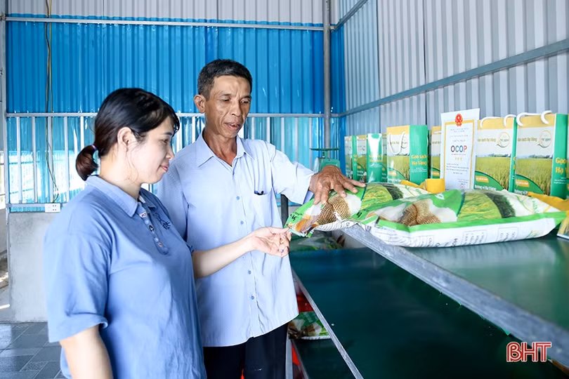 “Hạt giống” nông nghiệp sạch nảy mầm trên đồng đất Can Lộc