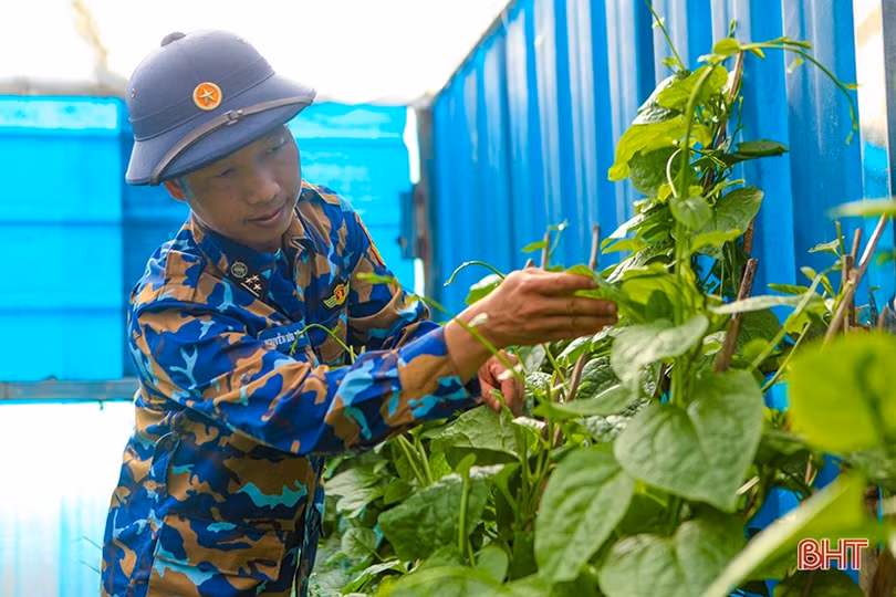 Giữ Trường Sa thêm xanh