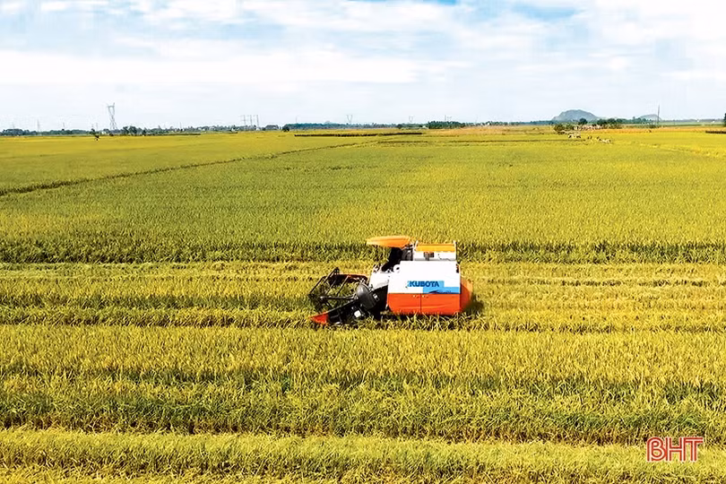 “Hạt giống” nông nghiệp sạch nảy mầm trên đồng đất Can Lộc