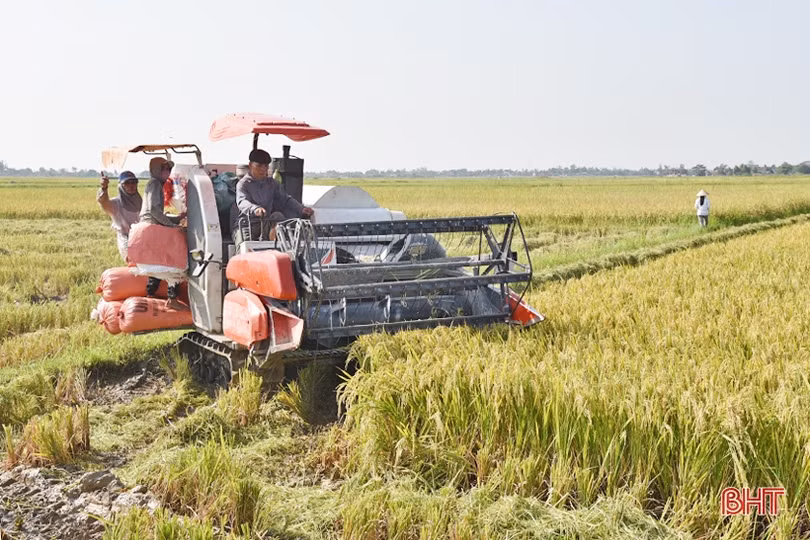 Sắc xuân trên quê biển Lộc Hà