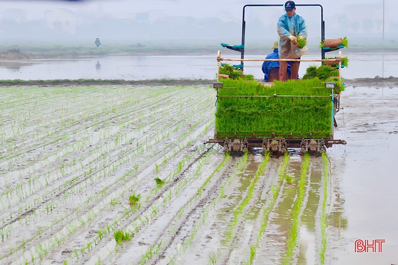 Nông nghiệp Hà Tĩnh trên hành trình tăng trưởng xanh