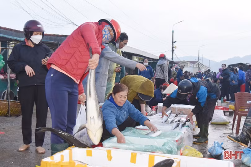 Sắc xuân trên quê biển Lộc Hà