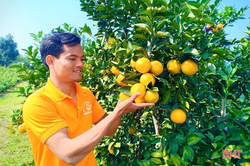 Sản phẩm OCOP ở Can Lộc “đắt hàng” trong dịp tết