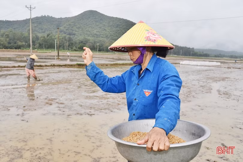 Sắc xuân trên quê biển Lộc Hà