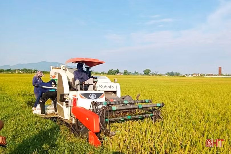 Thạch Mỹ - vùng quê xứng danh anh hùng