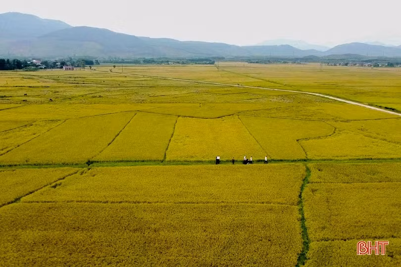 Khơi khát vọng, cống hiến từ những quyết sách hợp lòng dân