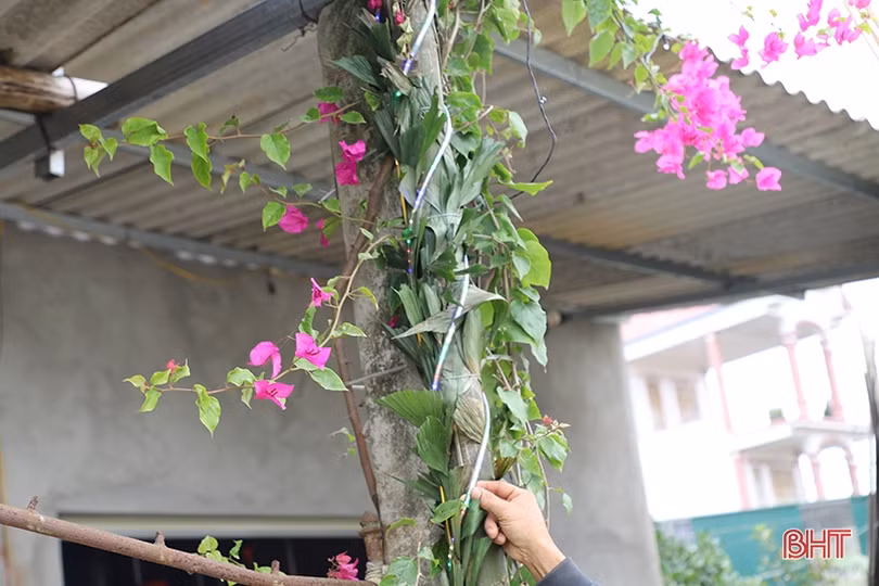 Dựng nêu ngày tết, cần tuân thủ khoảng cách an toàn lưới điện