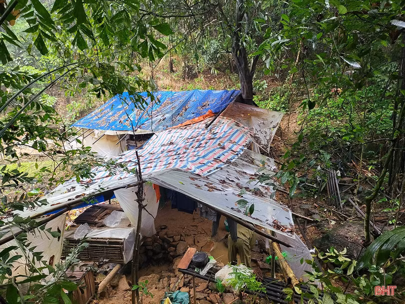 Bắt đối tượng giết người, 2 năm chui lủi trong rừng buôn ma túy