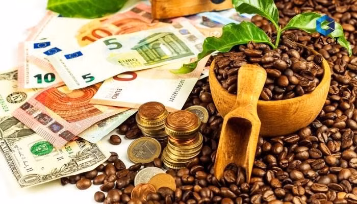 Đầu tư hàng hóa Đông Nam Á – Top công ty môi giới uy tín, đáng tin cậy hàng đầu