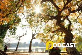 Podcast tản văn: Nắng đông vẫy gọi xuân sang