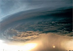 Ảnh minh họa từ internet