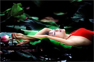 Minh họa từ internet