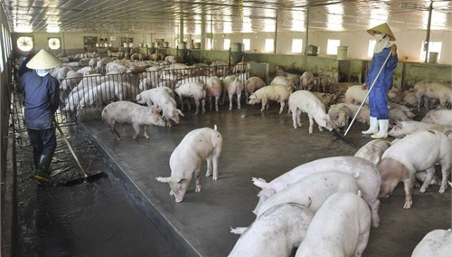 Để yên tâm đầu tư vào khu vực nông nghiệp, nông thôn, doanh nghiệp rất cần sự hỗ trợ đắc lực và có trách nhiệm từ phía Nhà nước Để yên tâm đầu tư vào khu vực nông nghiệp, nông thôn, doanh nghiệp rất cần sự hỗ trợ đắc lực và có trách nhiệm từ phía Nhà nước