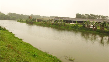 Trang trại chăn nuôi kết hợp của HTX Đông Tiến ở xã Thạch Thắng (Thạch Hà) là một trong những mô hình chăn nuôi vệ tinh quy mô lớn của Tổng Cty KS&TM Hà Tĩnh Trang trại chăn nuôi kết hợp của HTX Đông Tiến ở xã Thạch Thắng (Thạch Hà) là một trong những mô hình chăn nuôi vệ tinh quy mô lớn của Tổng Cty KS&TM Hà Tĩnh