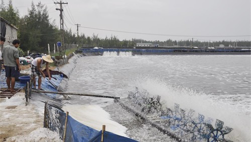 Các mô hình nuôi trồng thủy sản luôn có sự đồng hành của doanh nghiệp Các mô hình nuôi trồng thủy sản luôn có sự đồng hành của doanh nghiệp