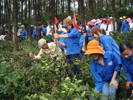 Chiến dịch thanh niên tình nguyện Hè 2012 đã thu hút hơn hàng ngàn đoàn viên tham gia với nhiều hoạt động sôi nổi