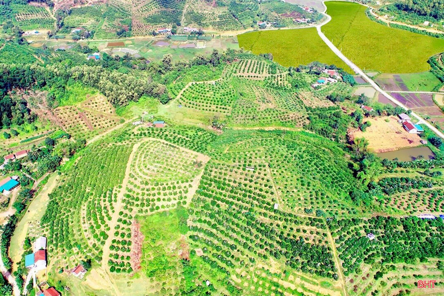 Địa phương phấn đấu đến năm 20230, thu nhập bình quân đầu người đạt 68 triệu đồng. Địa phương phấn đấu đến năm 20230, thu nhập bình quân đầu người đạt 68 triệu đồng.