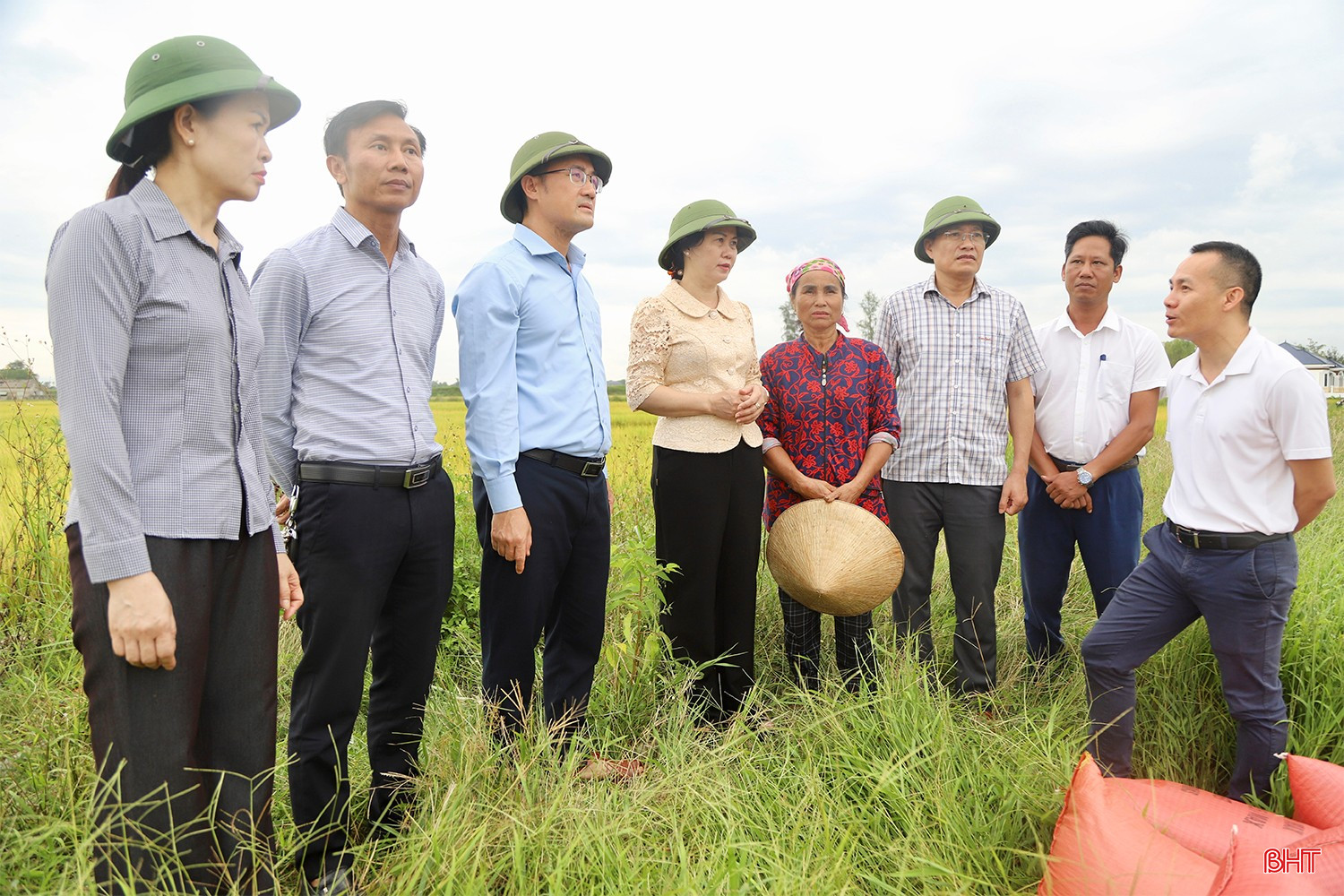 Đoàn kiểm tra công tác thu hoạch lúa hè thu ở xã Yên Hoà. bqbht_br_img-2480-copy.jpg
