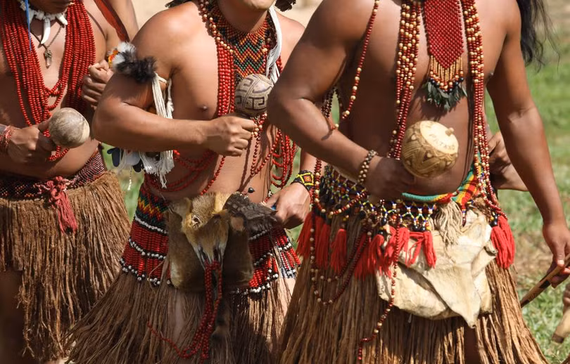 Rừng Amazon hùng vĩ trước trận cháy kỷ lục