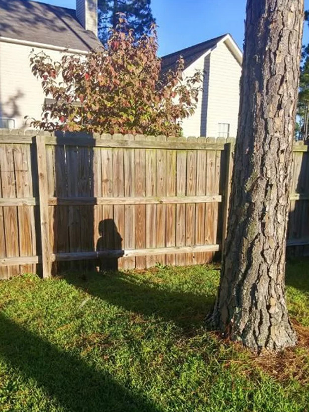 “Giấu đầu hở đuôi”