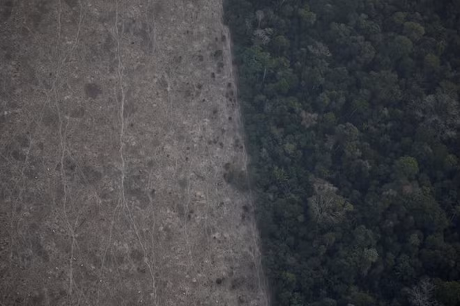 Rừng Amazon vẫn cháy, Tổng thống Brazil cảnh báo quốc tế “không can dự”