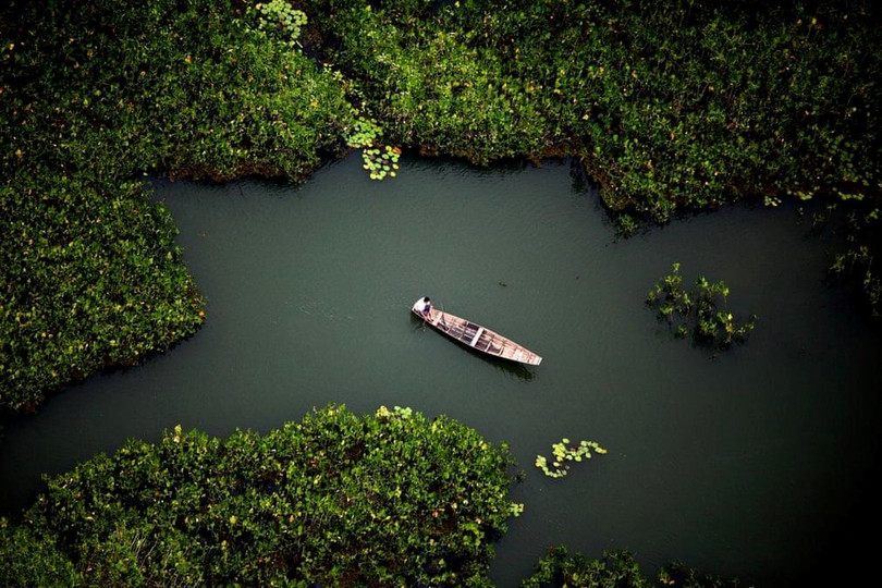 Rừng Amazon hùng vĩ trước trận cháy kỷ lục