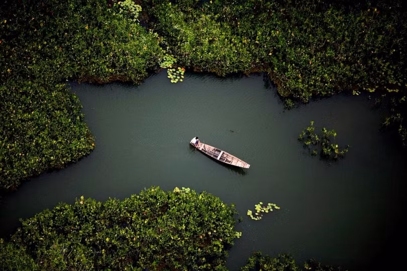 Rừng Amazon hùng vĩ trước trận cháy kỷ lục