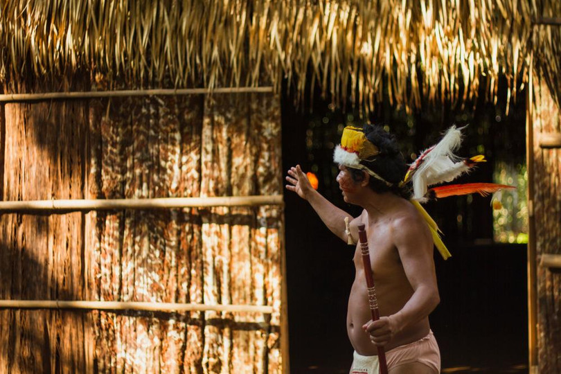 Rừng Amazon hùng vĩ trước trận cháy kỷ lục