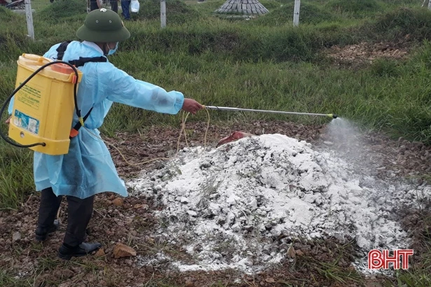 Thêm 2 địa phương ở Hà Tĩnh “dính” dịch tả lợn châu Phi