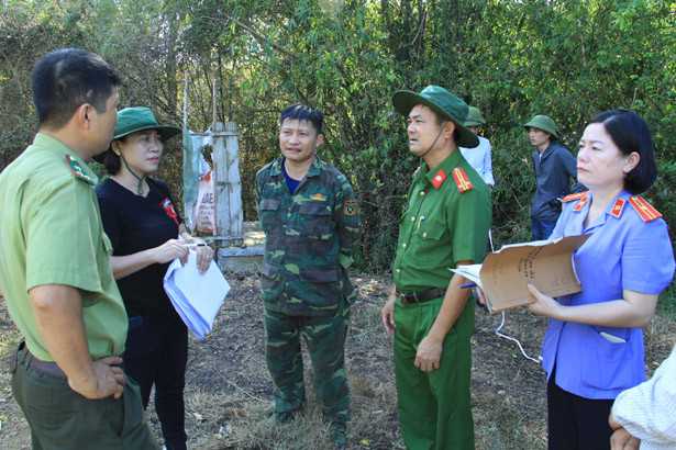 Xác định chính xác thiệt hại vụ cháy rừng chưa từng có ở Hà Tĩnh