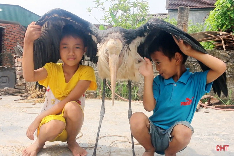 Một người dân Hà Tĩnh bắt được chim lạ “khổng lồ”