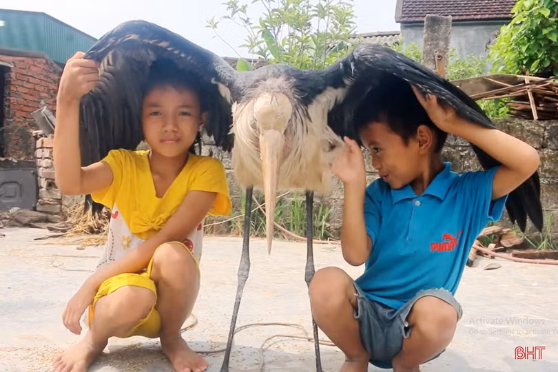 Một người dân Hà Tĩnh bắt được chim lạ “khổng lồ”