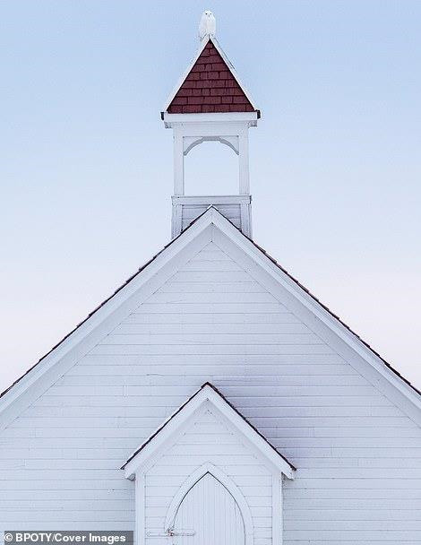 "Bồ nông nhảy múa" đoạt giải nhất cuộc thi nhiếp ảnh thế giới 2019 ảnh 8 “Bồ nông nhảy múa” đoạt giải nhất cuộc thi nhiếp ảnh thế giới 2019