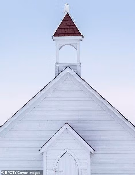 “Bồ nông nhảy múa” đoạt giải nhất cuộc thi nhiếp ảnh thế giới 2019