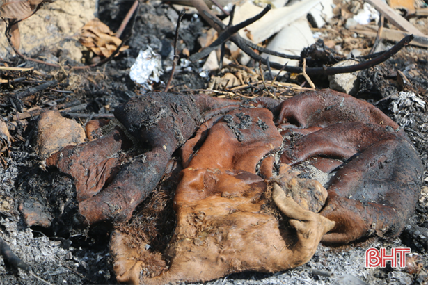 Bãi tập kết rác gây ô nhiễm, người dân “lãnh đủ”