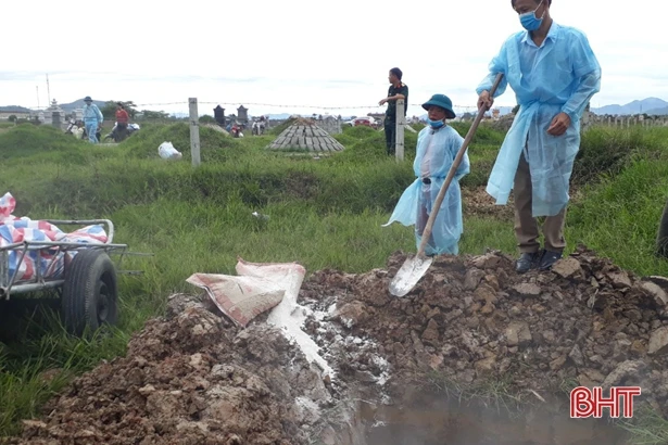 Thêm 2 địa phương ở Hà Tĩnh “dính” dịch tả lợn châu Phi