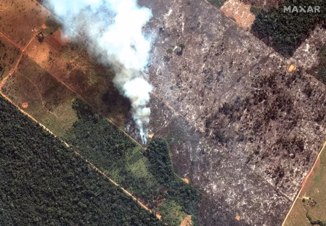 Rừng Amazon vẫn cháy, Tổng thống Brazil cảnh báo quốc tế “không can dự”