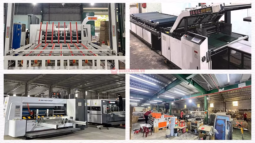 bao bì carton 4.jpg