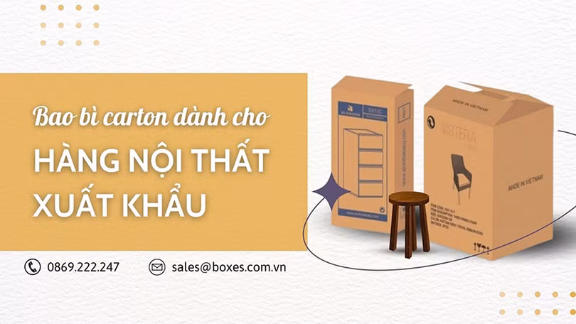 bao bì carton 1.jpg